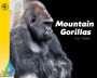 Mountain Gorillas