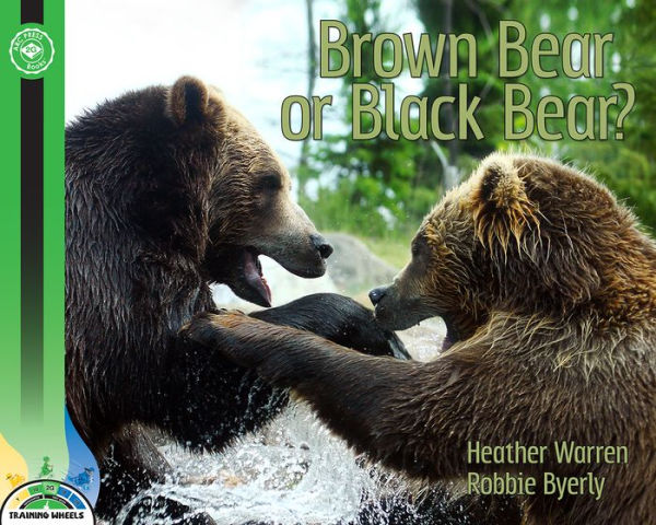 Brown Bear or Black Bear?
