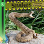 Snakes