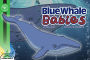 Blue Whale Babies