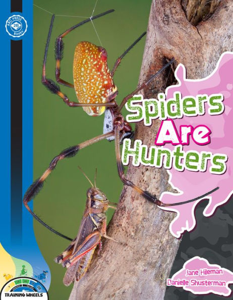 Spiders Are Hunters