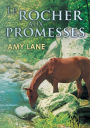 Le rocher aux promesses