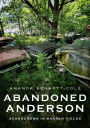 Abandoned Anderson, Indiana: Scarecrows in Barren Fields