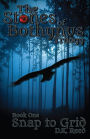 Snap to Grid: Stones of Bothynus, Book 1