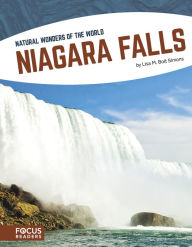 Title: Niagara Falls, Author: Lisa M. Bolt Simons