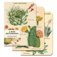 Title: 3 Mini Notebooks - Succulents