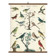 Title: Cavallini BIRD CHART VSC