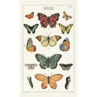 Butterlfies Tea Towel