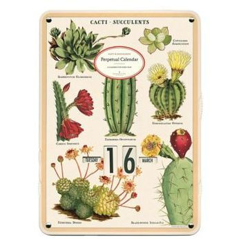 Perpetual Calendar - Succulents