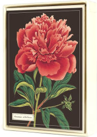 Title: Botanica Boxed Notecard set of 8