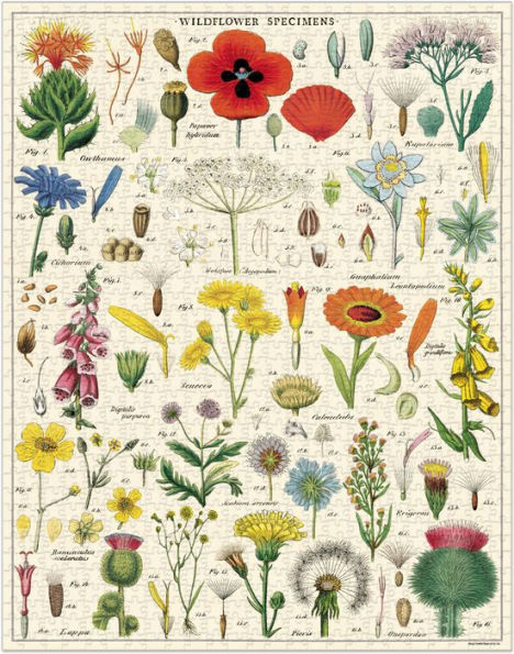 Cavallini & Co - Wildflowers 1,000 Piece Jigsaw Puzzle