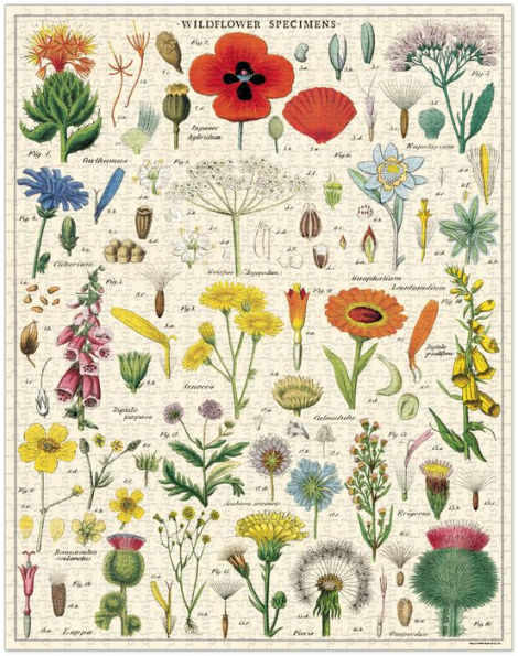 Cavallini & Co - Wildflowers 1,000 Piece Jigsaw Puzzle