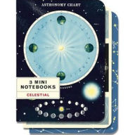 Cavallini Mini Notebooks (Set of 3) - Celestial