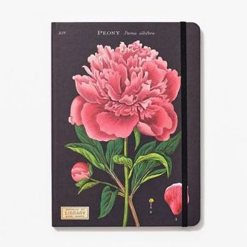 Botanica Large Notebook with Elastic