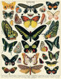 Alternative view 2 of Cavallini & Co - Butterflies 1000 Piece Jigsaw Puzzle