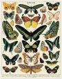 Alternative view 4 of Cavallini & Co - Butterflies 1000 Piece Jigsaw Puzzle