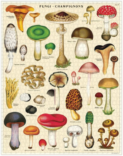 Mushrooms 1,000 piece puzzle