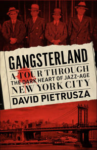 Title: Gangsterland: A Tour Through the Dark Heart of Jazz-Age New York City, Author: David Pietrusza
