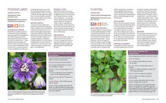 Alternative view 5 of Grow Your Own Herbal Remedies: How to Create a Customized Herb Garden to Support Your Health & Well-Being