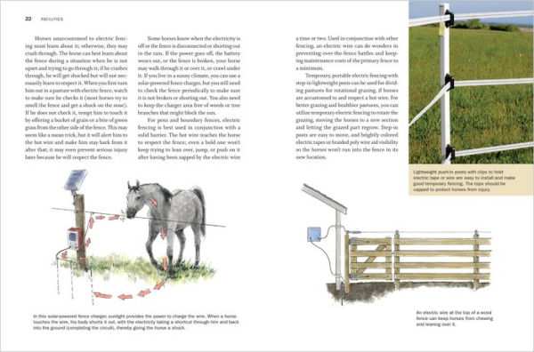 Storey's Guide to Raising Horses, 3rd Edition: Breeding, Care, Facilities