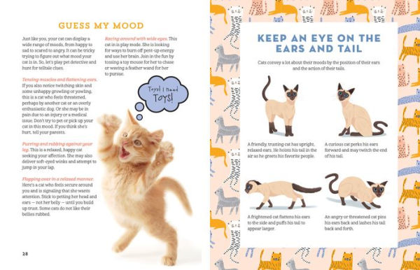 A Kid's Guide to Cats: How to Train, Care for, and Play and Communicate with Your Amazing Pet!