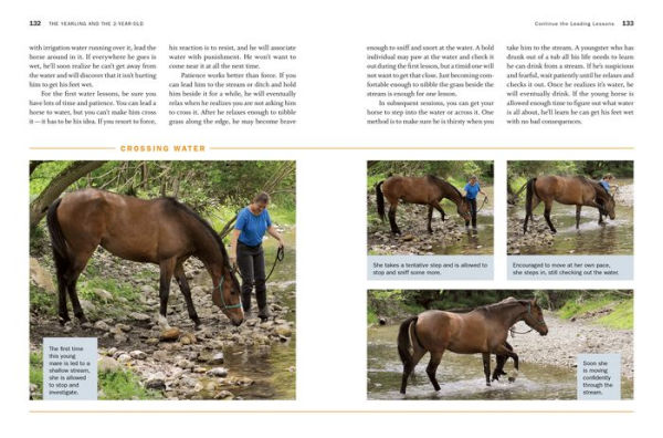 Storey's Guide to Training Horses, 3rd Edition: Ground Work, Driving, Riding