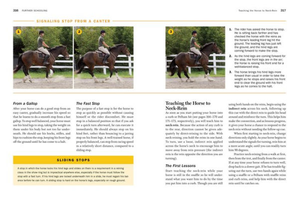 Storey's Guide to Training Horses, 3rd Edition: Ground Work, Driving, Riding