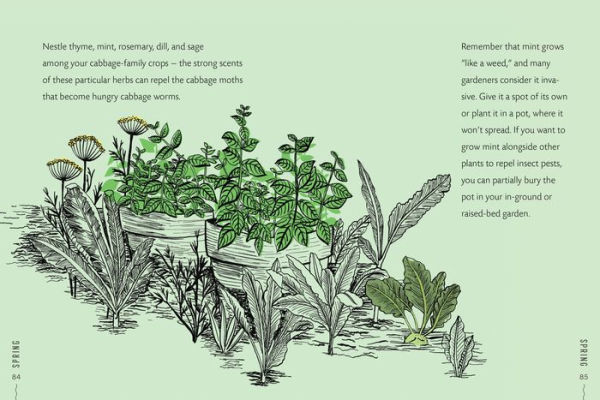 Vegetable Gardening Wisdom: Daily Advice and Inspiration for Getting the Most from Your Garden