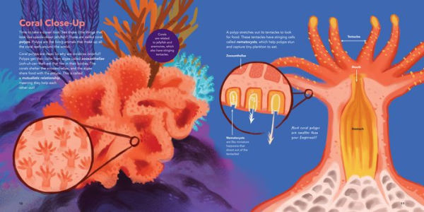 The World of Coral Reefs: Explore and Protect the Natural Wonders of the Sea