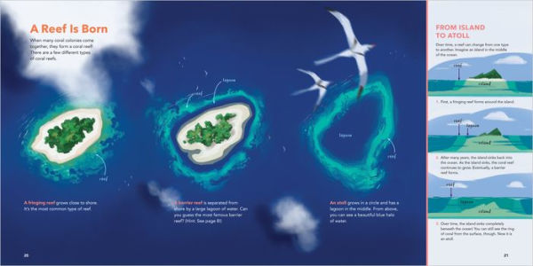 The World of Coral Reefs: Explore and Protect the Natural Wonders of the Sea