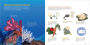 Alternative view 7 of The World of Coral Reefs: Explore and Protect the Natural Wonders of the Sea