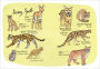 Alternative view 7 of Wildlife Anatomy: The Curious Lives & Features of Wild Animals around the World