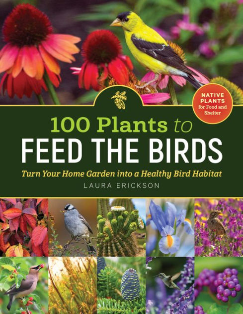 100 Plants to Feed the Birds: Turn Your Home Garden into a Healthy Bird  Habitat by Laura Erickson, Paperback | Barnes & Noble®