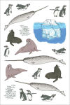 Alternative view 4 of Ocean Anatomy Sticker Book: A Julia Rothman Creation; More than 750 Stickers