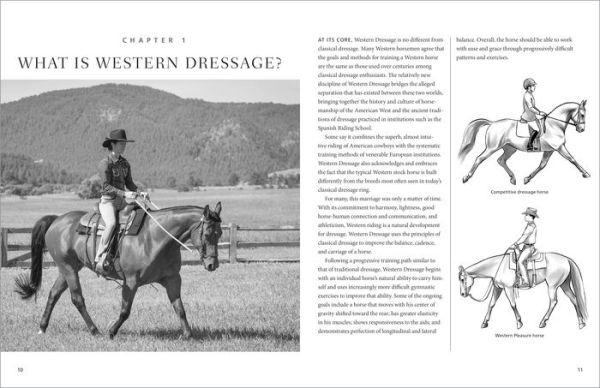 101 Western Dressage Exercises for Horse & Rider