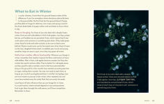 Alternative view 4 of How to Forage for Wild Foods without Dying Journal: Track the Mushrooms and Wild Edible Plants You Find, Season by Season, Year after Year