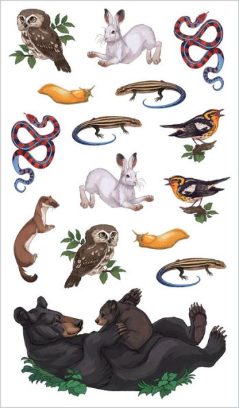 Wild, Wonderful Tattoo Woodland Animals: 60 Temporary Tattoos That Teach