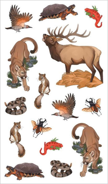 Wild, Wonderful Tattoo Woodland Animals: 60 Temporary Tattoos That Teach