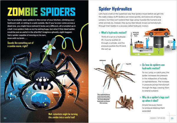 Zombie Spiders and Asteroid Blasters: 16 Incredible Ways That Scientists Are Changing the World