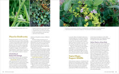 Alternative view 2 of The Regenerative Gardener's Handbook: Essential Techniques for Growing a Garden That Leaves the Land Healthier Than You Found It