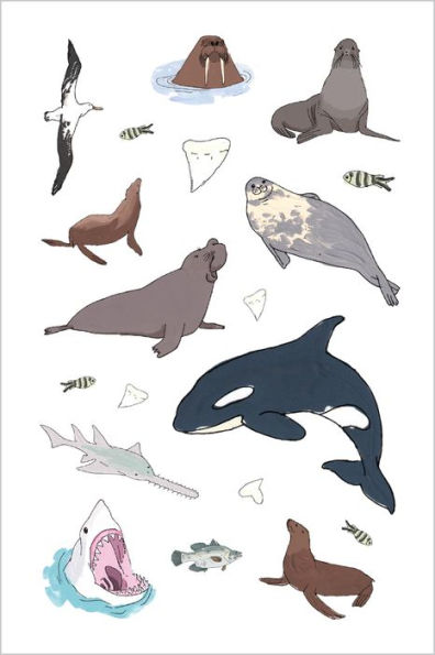 Wildlife Anatomy Sticker Book: A Julia Rothman Creation: More than 500 Stickers