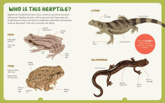 Alternative view 5 of Backpack Explorer: Spotting Snakes and Frogs, and Other Reptiles and Amphibians: What Will You Find?