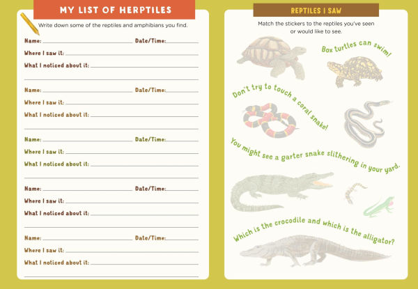Backpack Explorer: Spotting Snakes and Frogs, and Other Reptiles and Amphibians: What Will You Find?