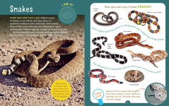 Alternative view 7 of Backpack Explorer: Spotting Snakes and Frogs, and Other Reptiles and Amphibians: What Will You Find?
