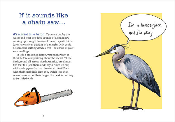 Bird Talk: Hilariously Accurate Ways to Identify Birds by the Sounds They Make