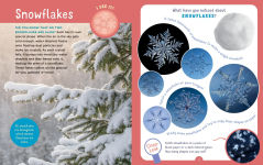 Alternative view 2 of Backpack Explorer: Winter Walk: What Will You Find?