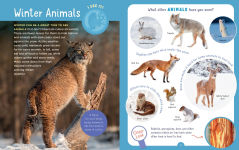 Alternative view 3 of Backpack Explorer: Winter Walk: What Will You Find?
