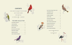 Alternative view 2 of Coloready Birds: 20 Modern Paint-by-Number Prints
