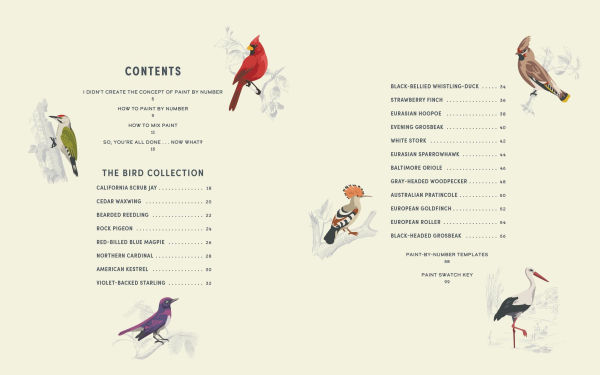 Coloready Birds: 20 Modern Paint-by-Number Prints
