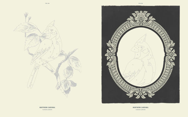 Coloready Birds: 20 Modern Paint-by-Number Prints